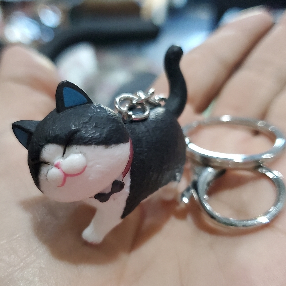 BOY Cat 🐈‍⬛ Keychain So Cute L👀K New